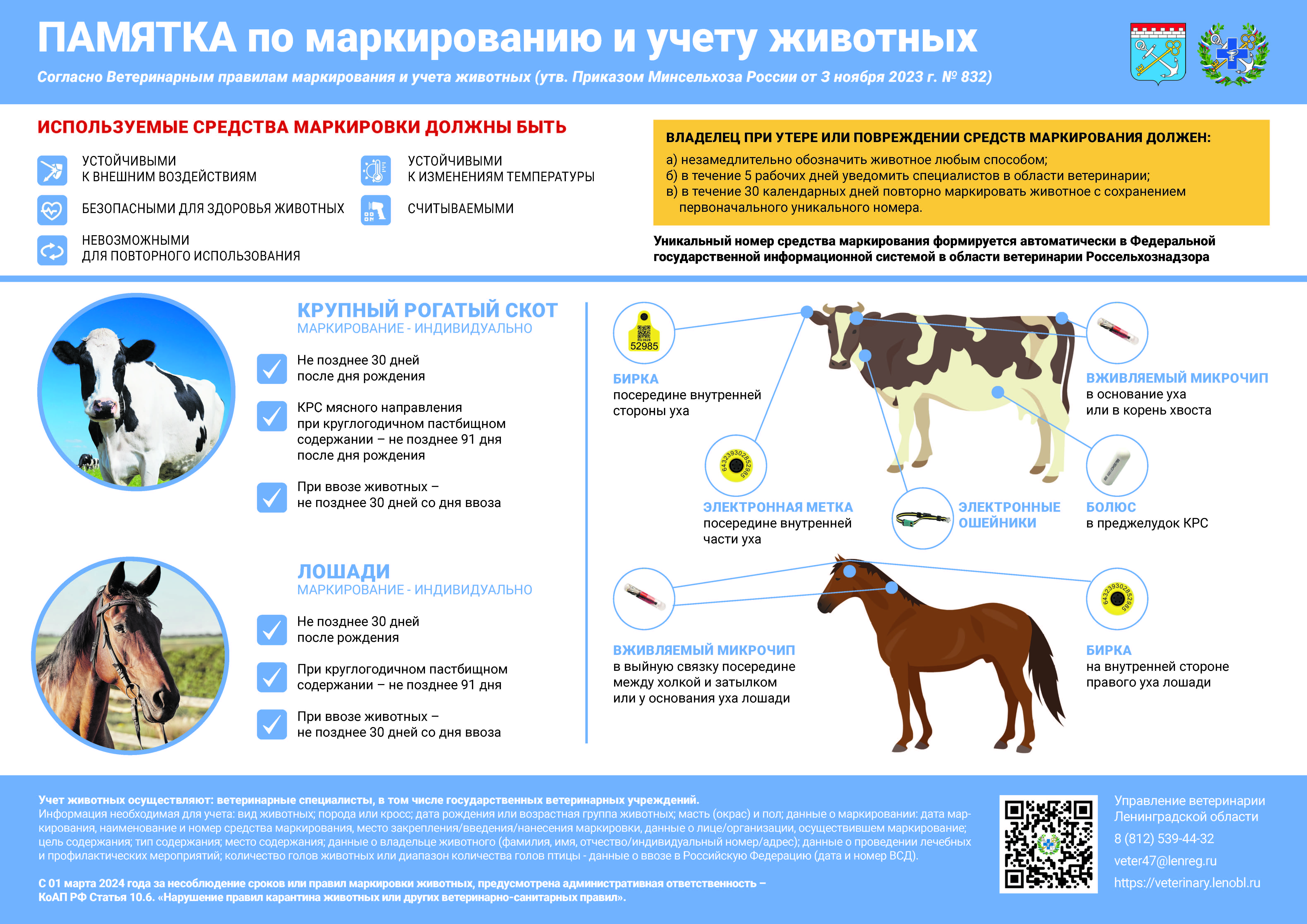 Маркирование и учет животных. Статья ветеринария. Маркировка сельхозживотных. Маркирование и учет животных. Бирки для коров.